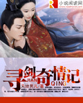 寻剑奇情记