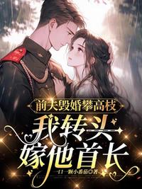 前夫毁婚攀高枝，我转头嫁他首长