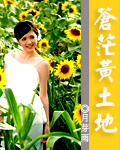 苍茫黄土地