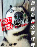 超级位面大亨终端