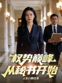 权势巅峰从秘书开始